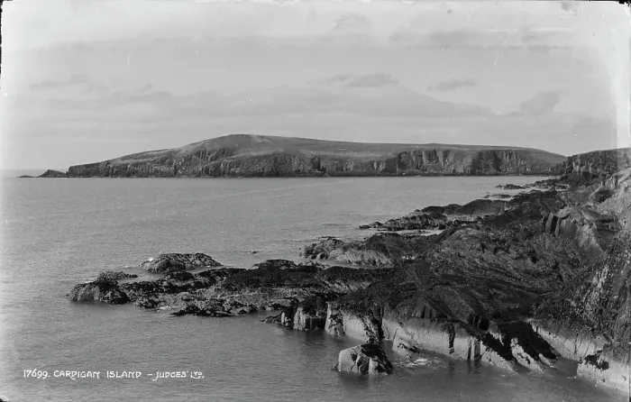 Framed Print : Cardigan Island Framed Print : Cardigan Island