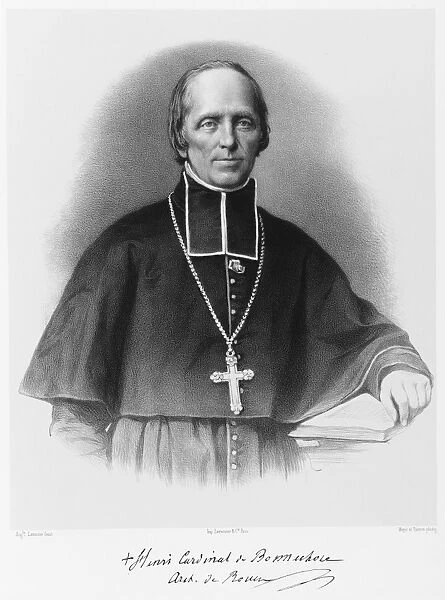 Cardinal Bonnechose