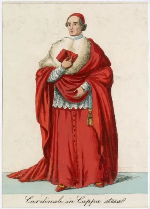 Framed Print : Cardinal Coppa Stesa Framed Print : Cardinal Coppa Stesa