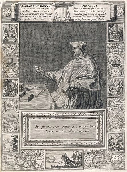 Cardinal D'amboise