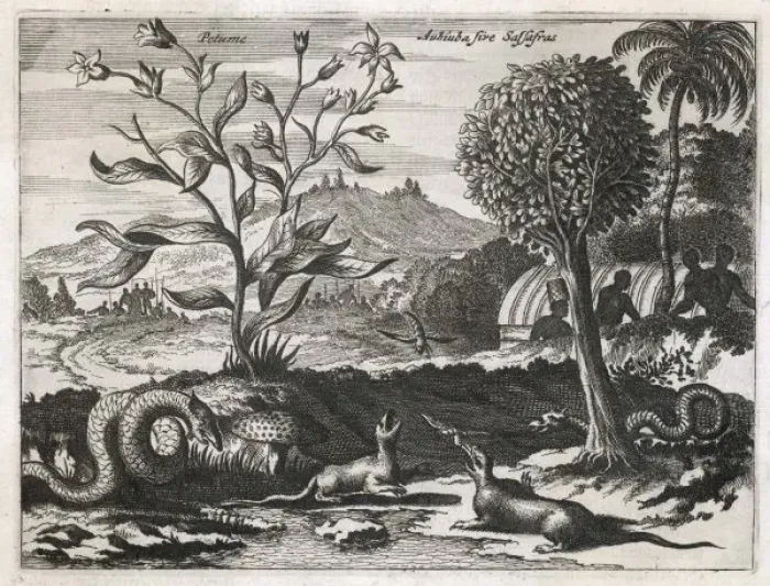 Framed Print : Caribbean Landscape 1520 Framed Print : Caribbean Landscape 1520