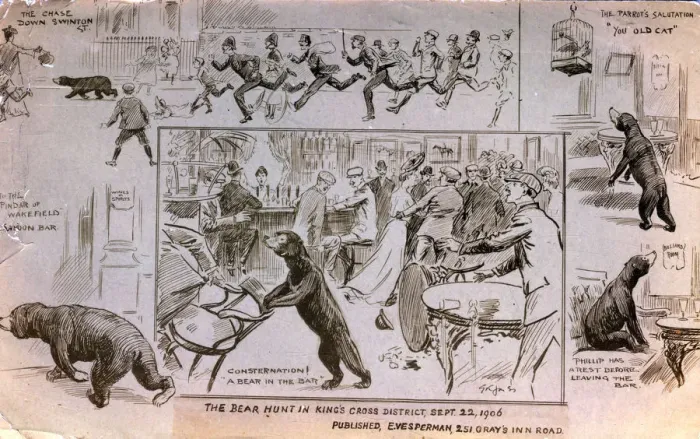Framed Print : Caricature of the 1906 Bear Hunt Framed Print : Caricature of the 1906 Bear Hunt