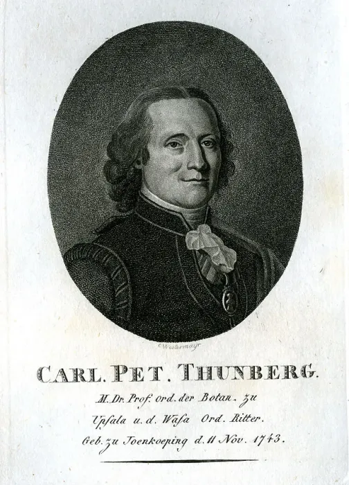 Framed Print : Carl Pet Thunberg - Botanist Framed Print : Carl Pet Thunberg - Botanist