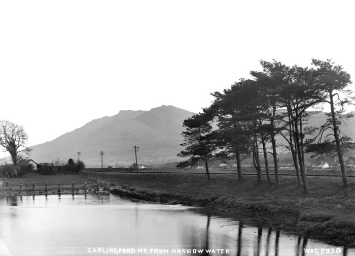 Framed Print : Carlingford Mt. from Narrow Water Framed Print : Carlingford Mt. from Narrow Water