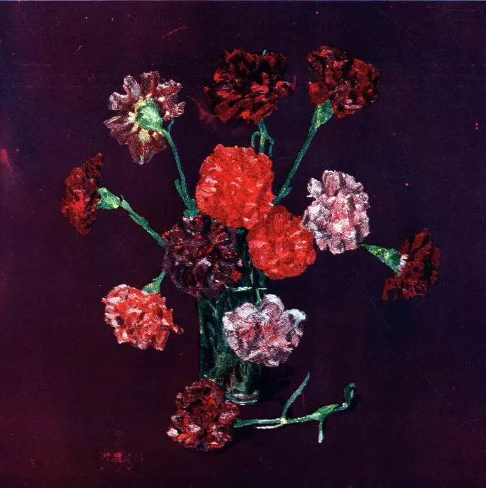 Framed Print : Carnations Framed Print : Carnations