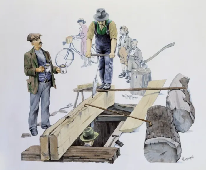 Framed Print : Carpenters saw a large log Framed Print : Carpenters saw a large log