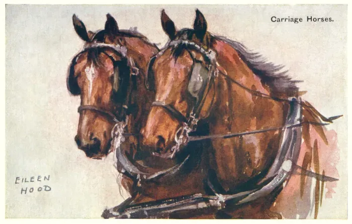 Framed Print : Carriage horses Framed Print : Carriage horses