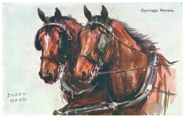 Framed Print : Carriage Horses Framed Print : Carriage Horses