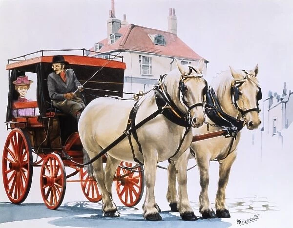 Carriage pulled by two white shire horses