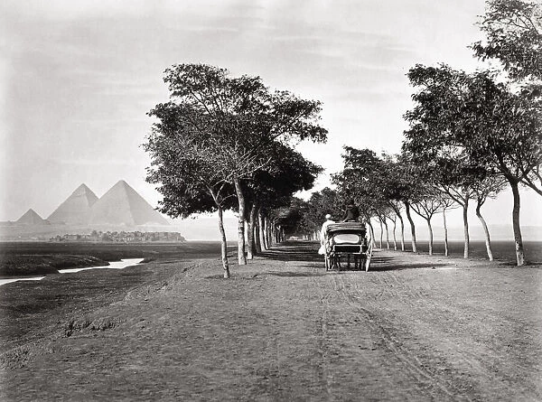 Carriage on the road to the Pyramids, Egypt, c. 1880 s