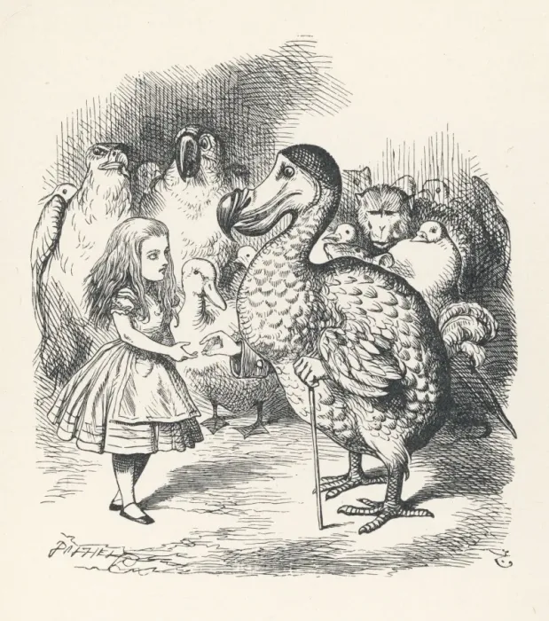 Framed Print : Carroll / Alice & the Dodo Framed Print : Carroll / Alice & the Dodo