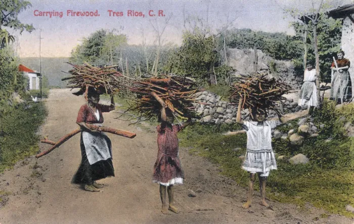Framed Print : Carrying Firewood at Tres Rios, Costa Rica Framed Print : Carrying Firewood at Tres Rios, Costa Rica