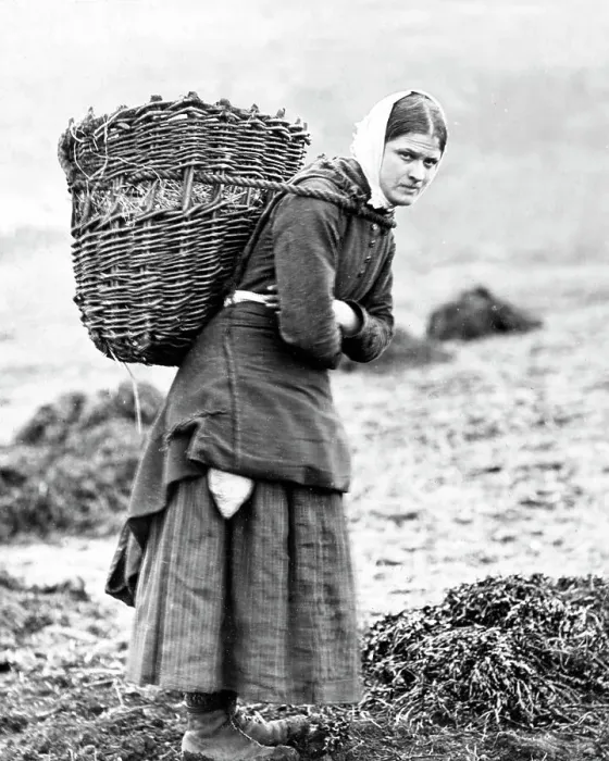 Framed Print : Carrying peat on the Isle of Skye, Victorian period Framed Print : Carrying peat on the Isle of Skye, Victorian period