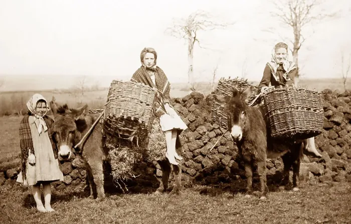 Framed Print : Carrying turf, Co Mayo, West of Ireland, early 1900s Framed Print : Carrying turf, Co Mayo, West of Ireland, early 1900s