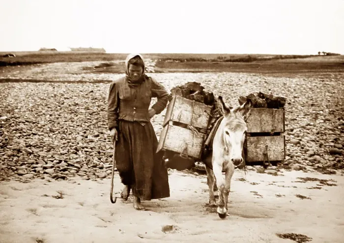 Framed Print : Carrying turf in tea boxes, Geesala, West of Ireland Framed Print : Carrying turf in tea boxes, Geesala, West of Ireland