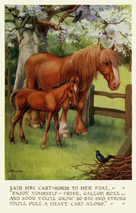 Framed Print : Cart horse & foal Framed Print : Cart horse & foal
