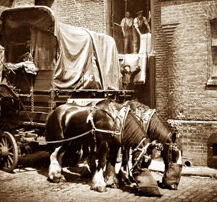 Framed Print : Carters horses, London Framed Print : Carters horses, London