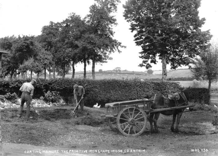 Framed Print : Carting Manure the Primitive Iron Grape in Use, Co. Antrim Framed Print : Carting Manure the Primitive Iron Grape in Use, Co. Antrim