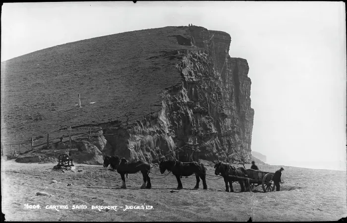 Framed Print : Carting Sand at Bridport