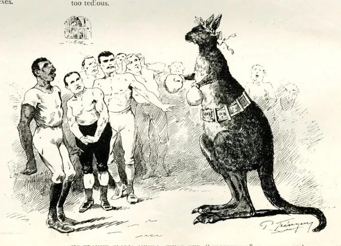 Framed Print : Cartoon, Boxing Kangaroo, What is the profession coming to? Framed Print : Cartoon, Boxing Kangaroo, What is the profession coming to?