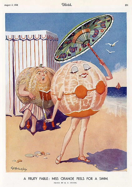 Cartoon by George Studdy, part of his Fruity Fables series, showing a lady orange peeling off her skin down to a bikini. Credit should read: Estate of George Studdy / Gresham Marketing Ltd.  / ILN / Mary Evans Date: 1938