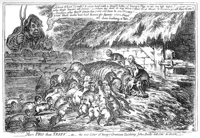 Framed Print : Cartoon, More Pigs than Teats Framed Print : Cartoon, More Pigs than Teats