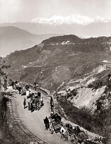 Carts on a mountain road, northern India, c. 1890