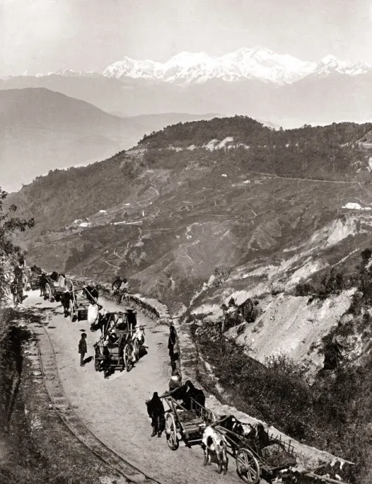 Framed Print : Carts on a mountain road, northern India, c. 1890 Framed Print : Carts on a mountain road, northern India, c. 1890