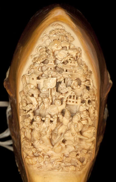Carved Hornbill Skull