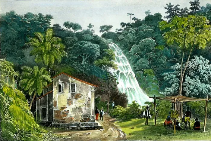 Framed Print : Cascade Rio De Janeiro, Basil Framed Print : Cascade Rio De Janeiro, Basil