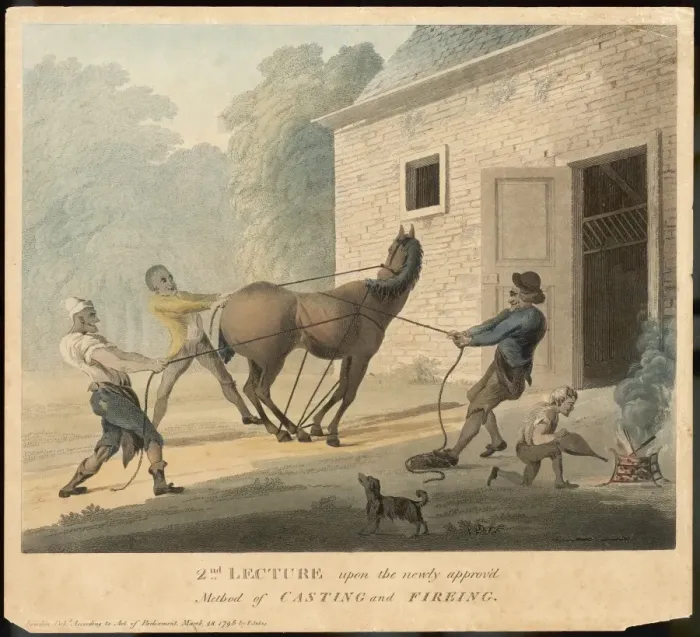 Framed Print : Casting / Firing a Horse Framed Print : Casting / Firing a Horse