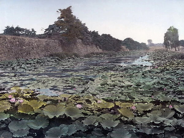 Castle wall and lotus pond, Tokyo, Japan, circa 1880s