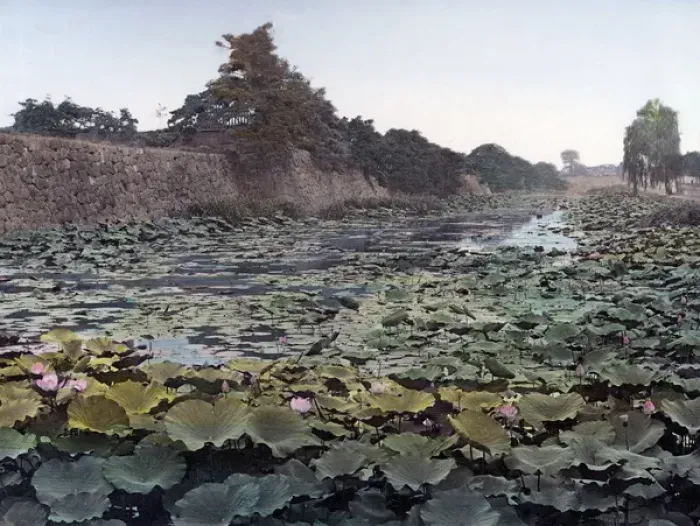 Framed Print : Castle wall and lotus pond, Tokyo, Japan, circa 1880s