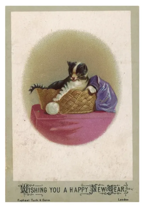 Framed Print : Cat and Ball of Wool Framed Print : Cat and Ball of Wool