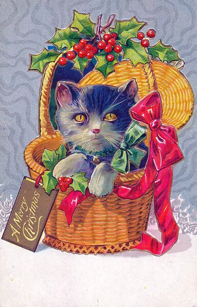 Cat in a basket decorated with holly on a Christmas postcard