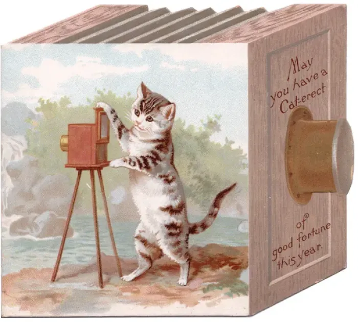 Framed Print : Cat with a camera on a New Year card Framed Print : Cat with a camera on a New Year card