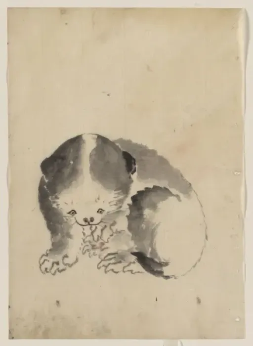 Framed Print : A cat cleaning its claws Framed Print : A cat cleaning its claws