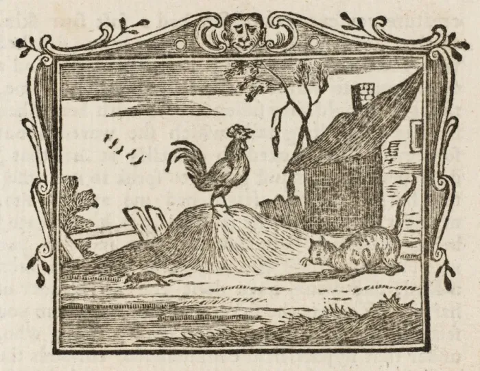 Framed Print : Cat, Cock & Mouse Framed Print : Cat, Cock & Mouse