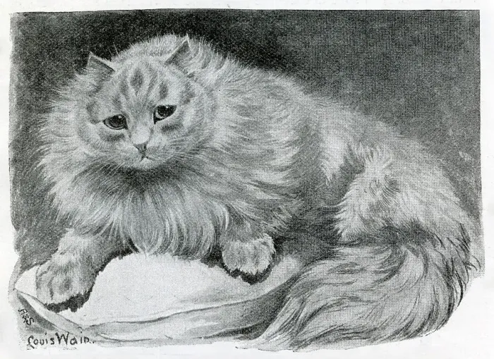 Framed Print : The Cat Show at the Crystal Palace by Louis Wain Framed Print : The Cat Show at the Crystal Palace by Louis Wain