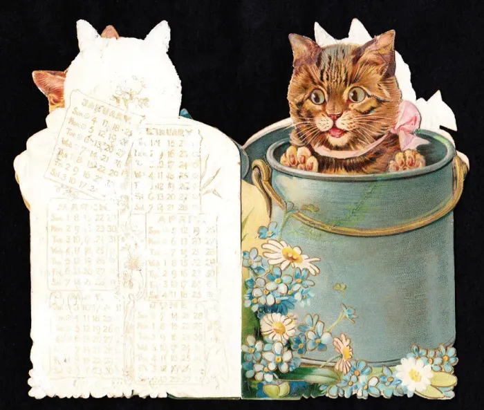 Framed Print : Cat in a can on a cutout calendar (January to June) Framed Print : Cat in a can on a cutout calendar (January to June)