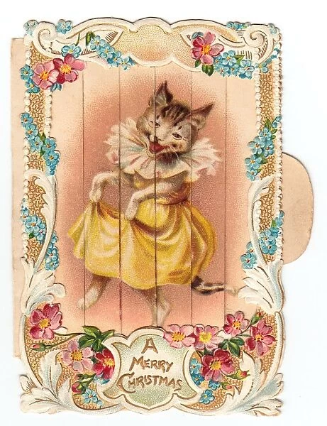 Cat dancing on a Christmas card