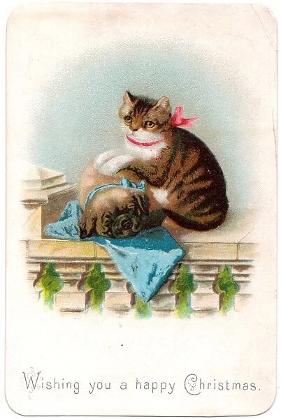 Cat and dog on a Christmas card