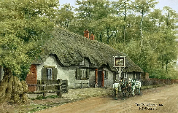 The Cat and Fiddle Inn, New Forest, Hampshire
