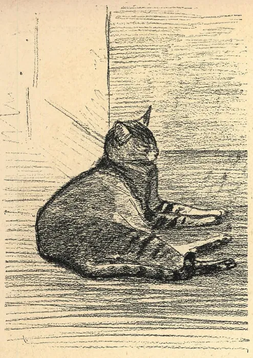 Framed Print : Cat On The Floor Framed Print : Cat On The Floor