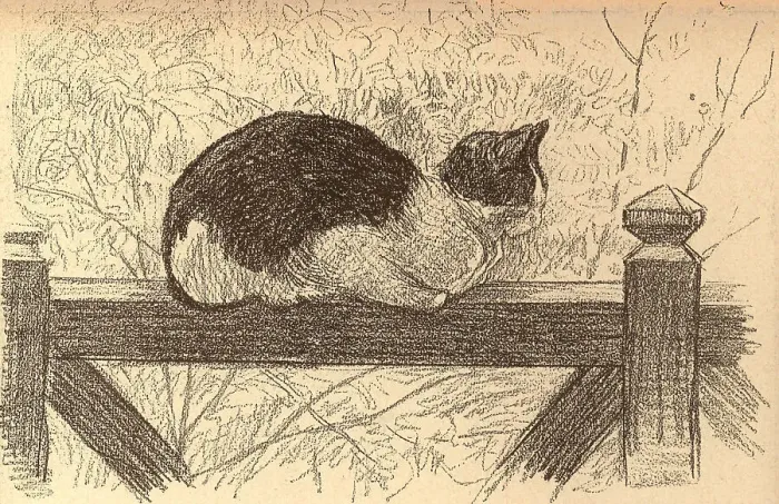 Framed Print : The Cat On The Gate Framed Print : The Cat On The Gate