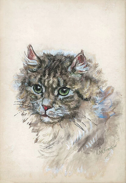 Cat by I. M. French
