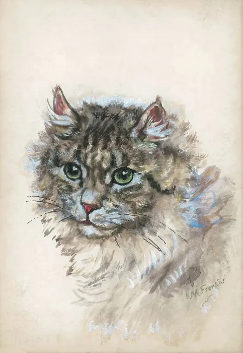 Framed Print : Cat by I. M. French