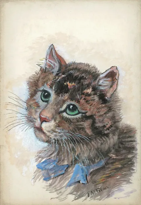 Framed Print : Cat by I. M. French Framed Print : Cat by I. M. French