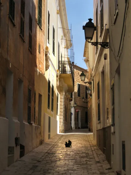 Framed Print : Cat and kitten sit in the middle of an alleyway, Ciutedella Framed Print : Cat and kitten sit in the middle of an alleyway, Ciutedella