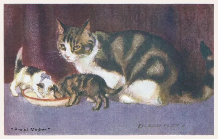 Framed Print : Cat and Kittens Framed Print : Cat and Kittens